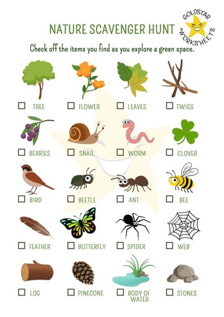 12 Mind-blowing Facts About Hiking And Nature Scavenger Hunt ·