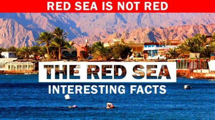 13 Surprising Facts About Red Sea