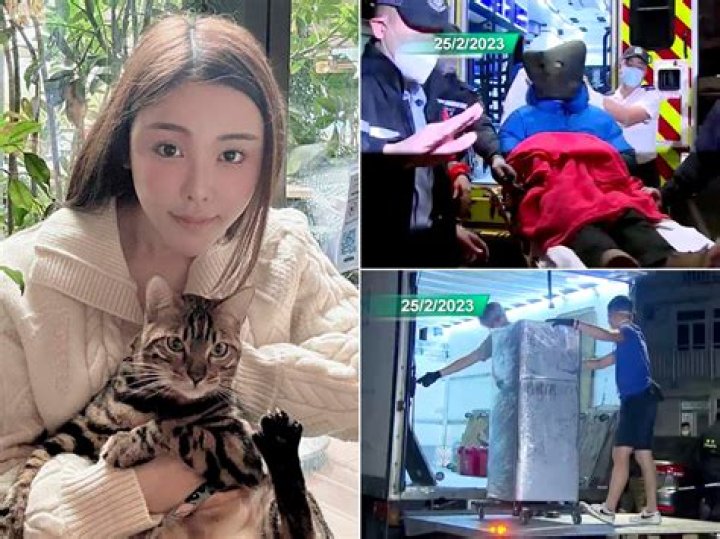 Abby Choi's Tragic Story And Its Profound Impact