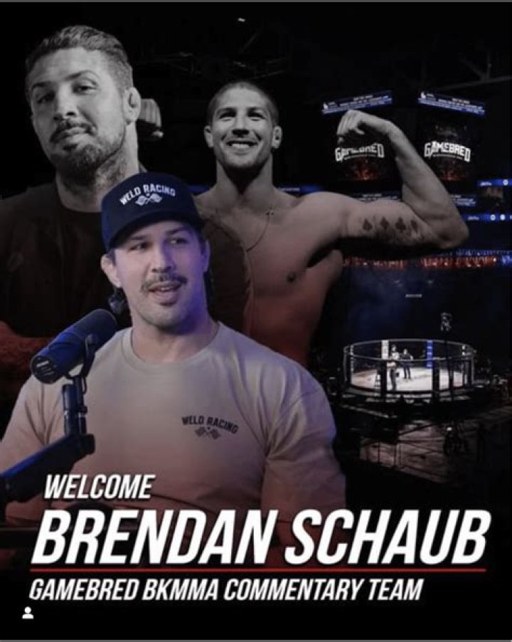 Brendan Schaub - WebBlog