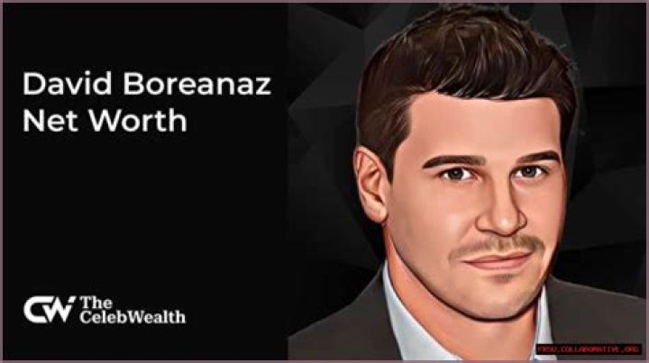 David Boreanaz Net Worth - SkyVlog