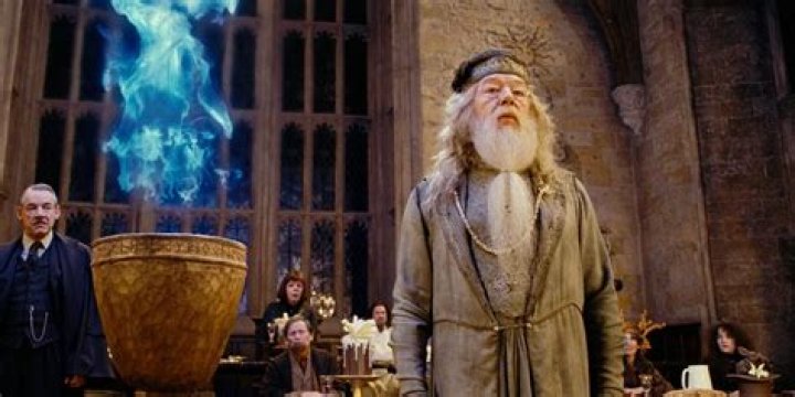 Did Dumbledore think Harry put his name in the Goblet of Fire?