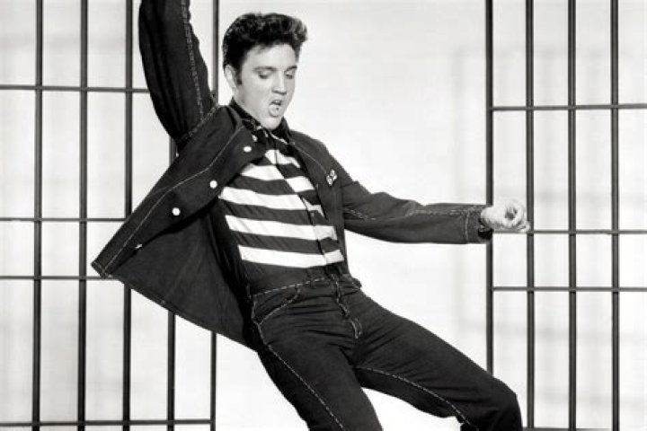 Does Elvis Presley have a brother? ·