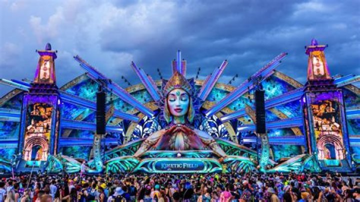 Ecstasy, Alcohol Blamed in Deaths of Two Electric Daisy Carnival Attendees The Hollywood Reporte