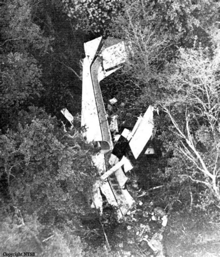 Flight 46 Dale Marks