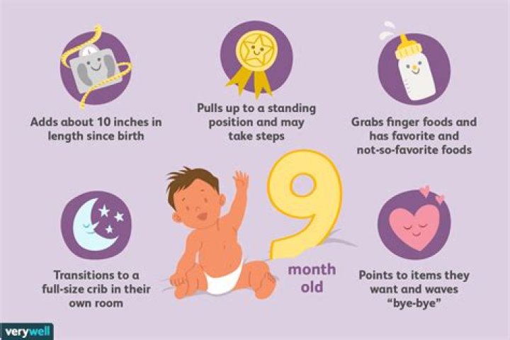 Is 9 Months Baby Found Yet? ·