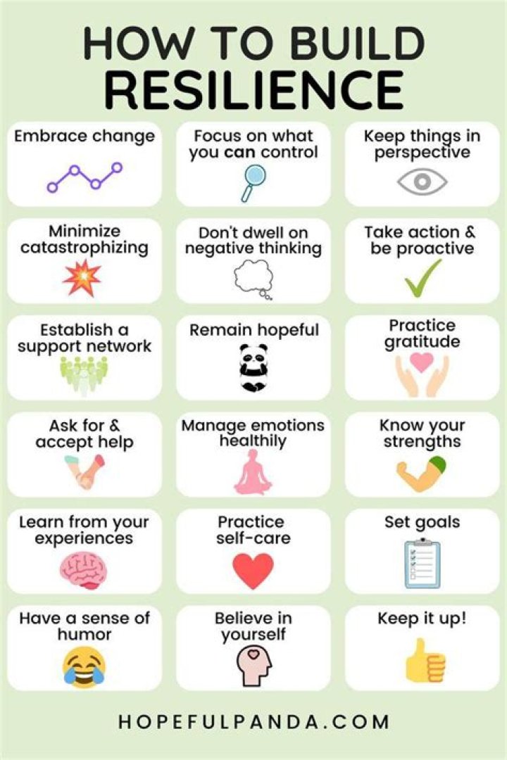 Lessons In Success And Resilience