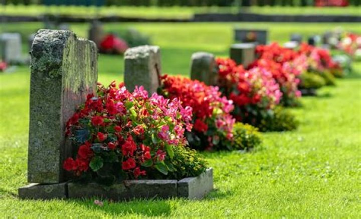 Louise Shockey | Obituary And Death Cause Died Of Sickness