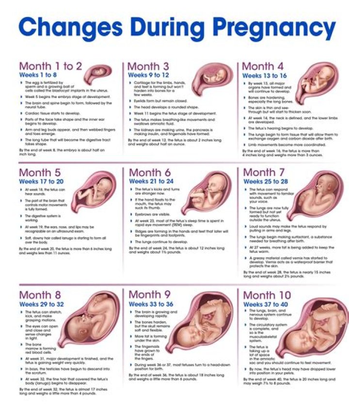 Madison's Pregnancy Journey On Southern Charm