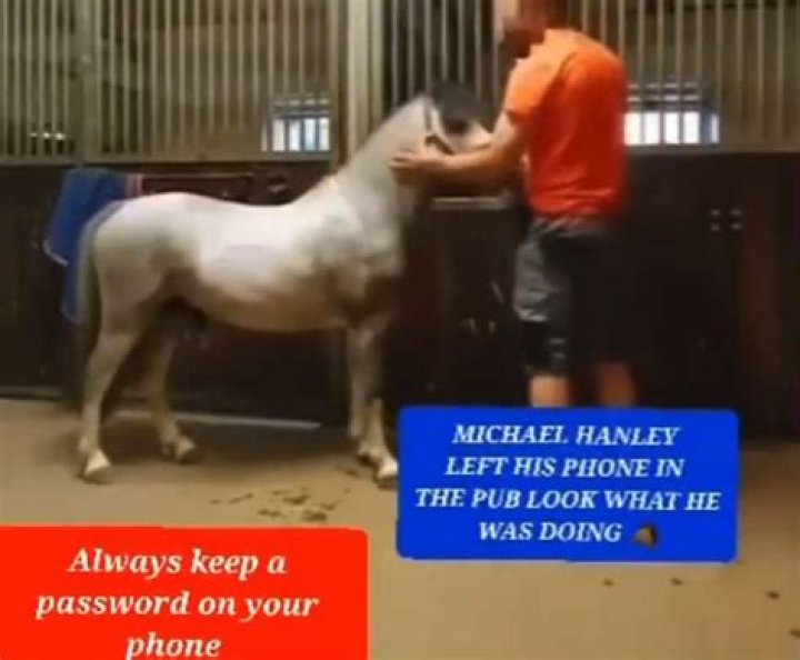 Michael Hanley Mr Hands Orange Shirt Man And Horse Video Viral