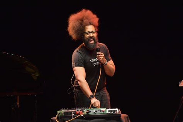 PicoVib | Reggie Watts Net Worth