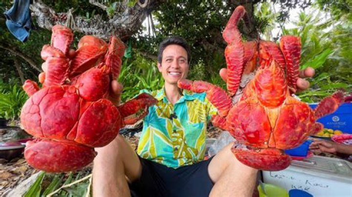 Uncover The Secrets Of The Mighty Coconut Crab: A Journey Of Discovery