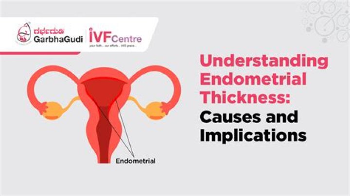 Uncovering The Causes And Implications