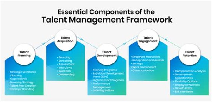 Unlocking The Secrets Of Talent And Success
