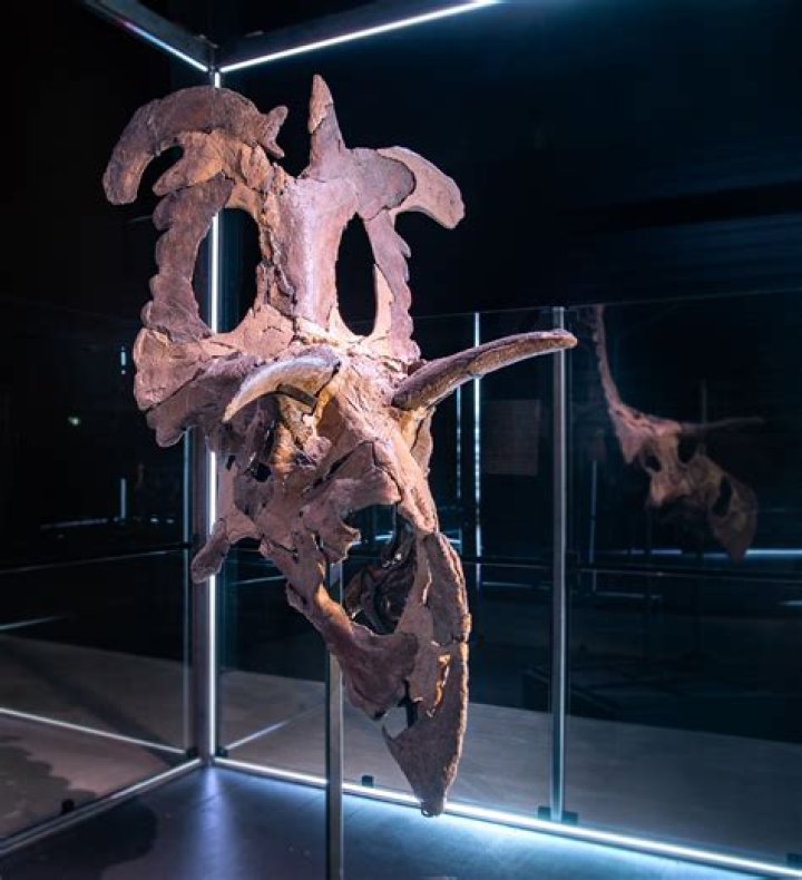 Unraveling The Extraordinary Discoveries Of Thomas W. Campbell