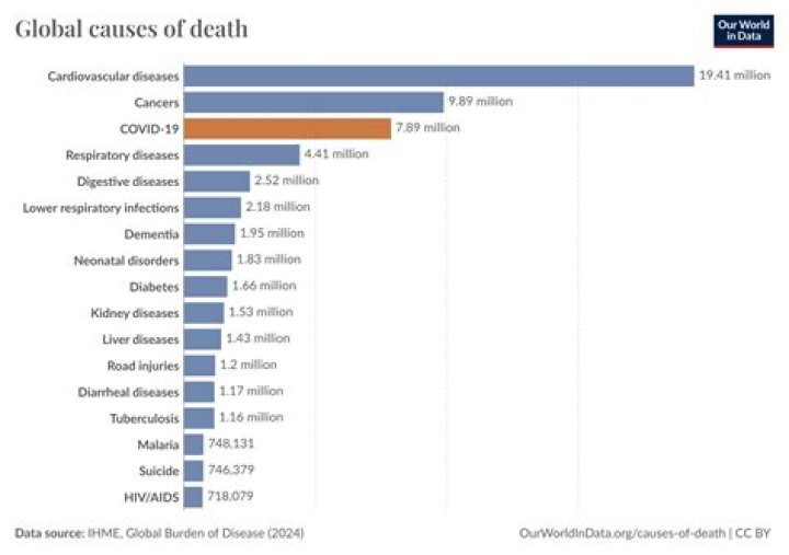 Was Irish 702 Sick Before Death? Illness And Health 2023 ·