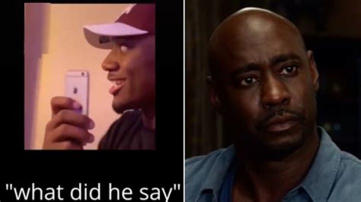 What Did He Say? ·