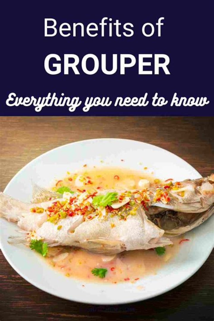 ZingX | 11 Grouper Nutrition Facts